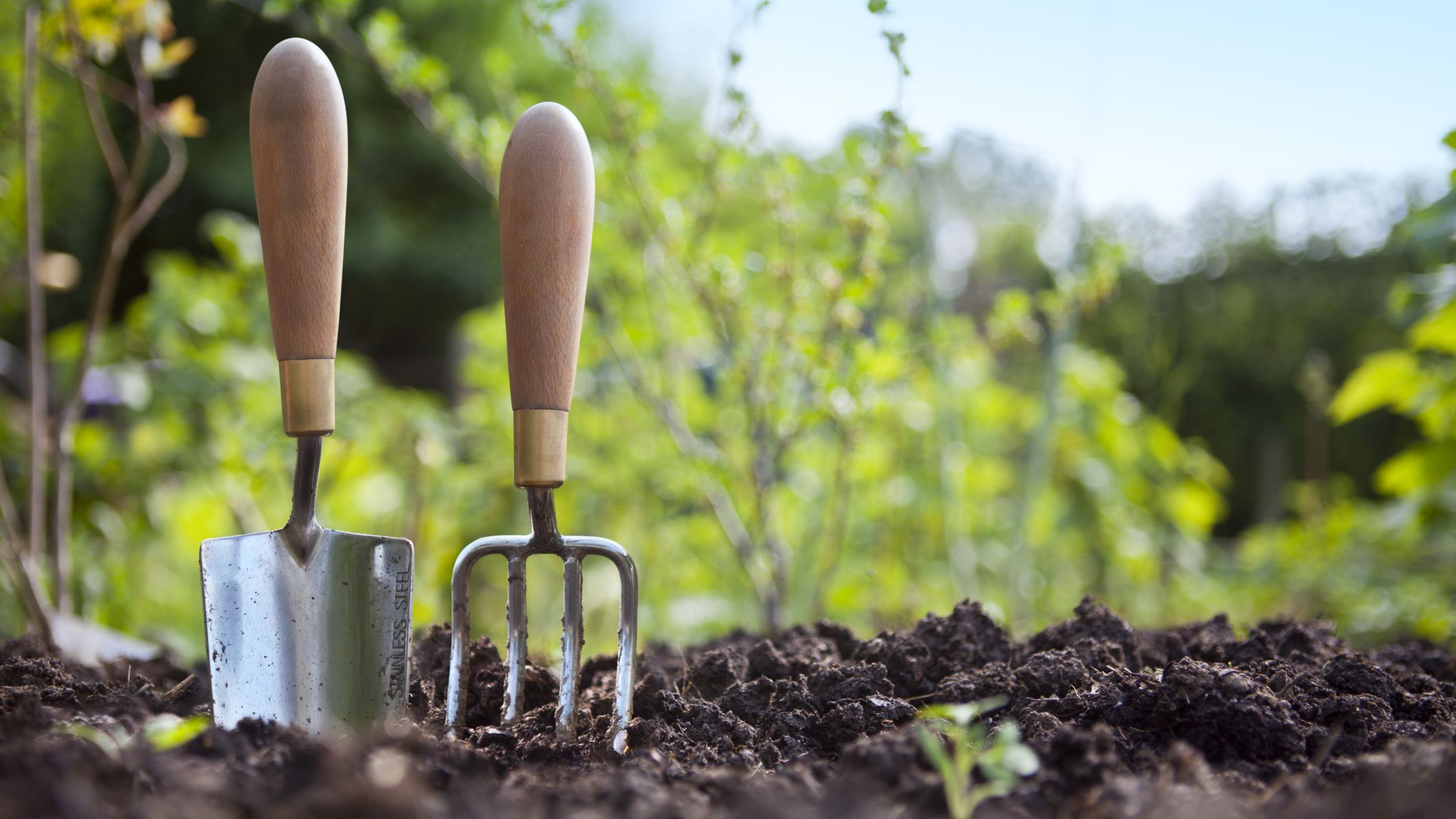 7 Simple tips for the perfect low-maintenance garden